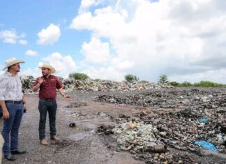 Exploran oportunidades para la producción de bioenergía