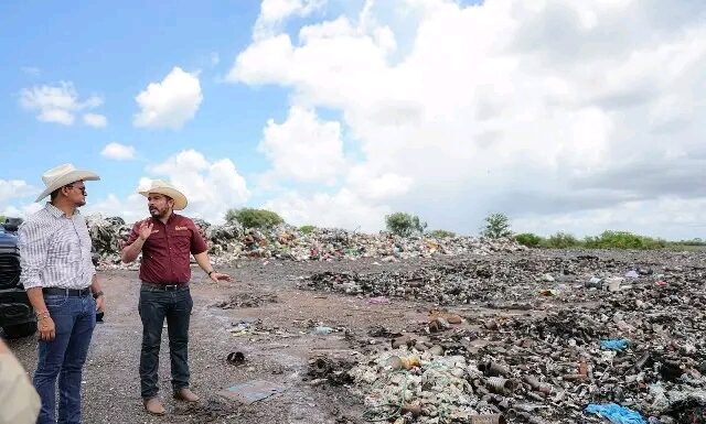 Exploran oportunidades para la producción de bioenergía
