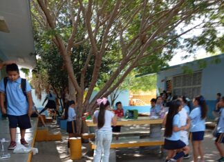 Llevan el arte de reciclar a las escuelas con el programa ‘Recicl-Arte