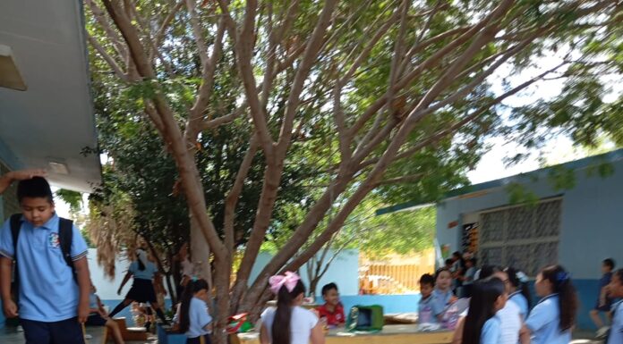 Llevan el arte de reciclar a las escuelas con el programa ‘Recicl-Arte