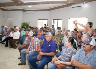 Avanza la expansión del frijol guar en el norte de Tamaulipas