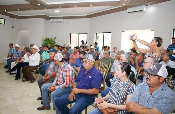 Avanza la expansión del frijol guar en el norte de Tamaulipas