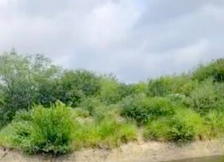 Cae unidad a canal de aguas negras y deja lesionados