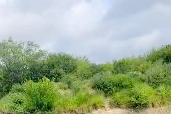 Cae unidad a canal de aguas negras y deja lesionados