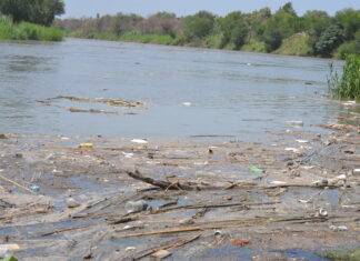 Se espera una creciente del río Bravo de 3.5 metros; no será de riesgo: PC.