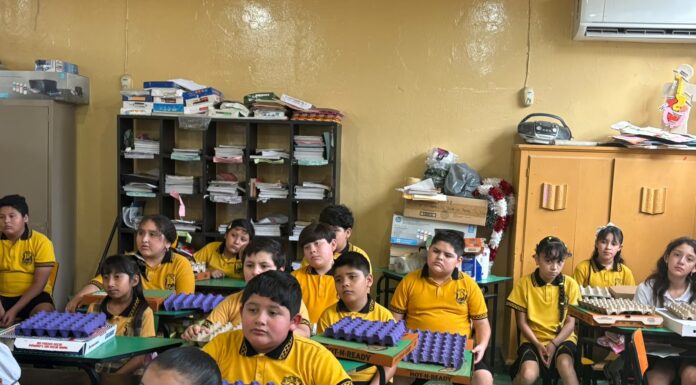 Llevan el arte de reciclar a las escuelas con el programa ‘Recicl-Arte
