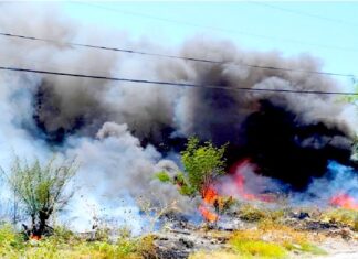 Bomberos acuden a sofocar incendio de pastizal en la Almaguer