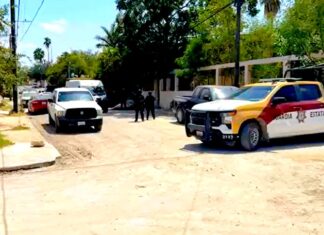 Hallan a persona sin vida en la vía pública en colonia popular