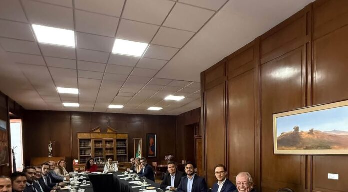 Maki Ortiz impulsa acuerdos para avanzar en legislación de bienestar animal en México