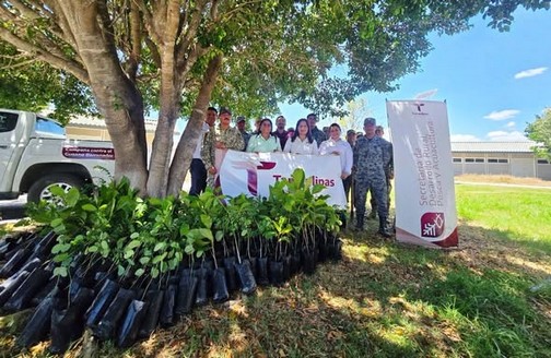 Promueven espacios verdes y sustentables en El Mante