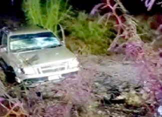 Accidente en el “Viaducto de la Muerte” deja cuantiosos daños materiales