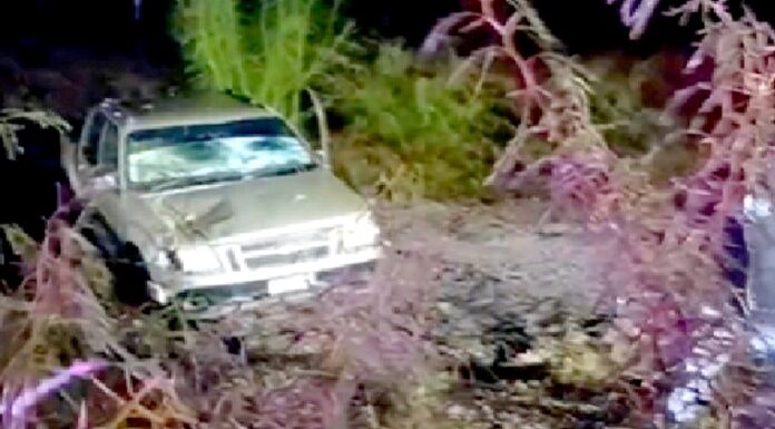 Accidente en el “Viaducto de la Muerte” deja cuantiosos daños materiales