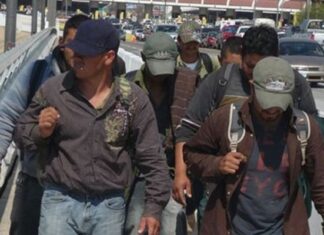 Deportación de migrantes a la baja; este año fueron atendidos 645 según el ITM